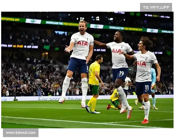 全面解析英冠联赛的性质特点与比赛规则详解