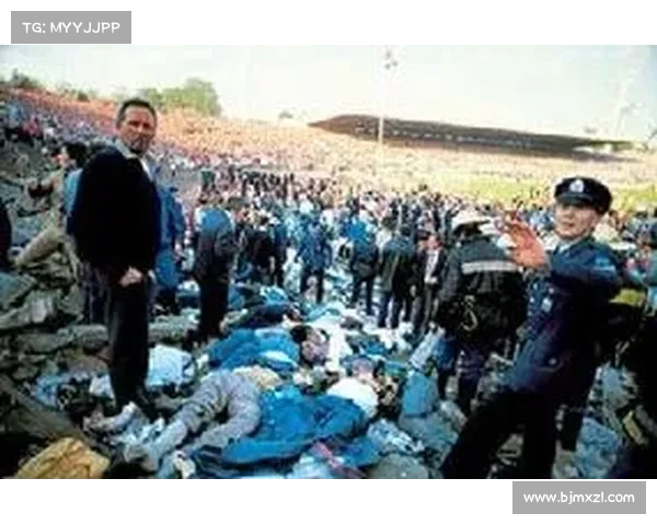 从多维视角审视海瑟尔关事件对英国足球发展深层影响因素解析全貌